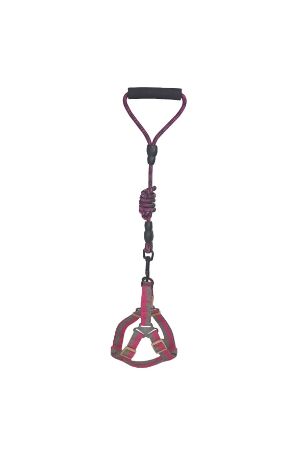 Köpek Göğüs Tasma Seti Dalga Desenli 2 cm*40-58 cm Mor-Pembe