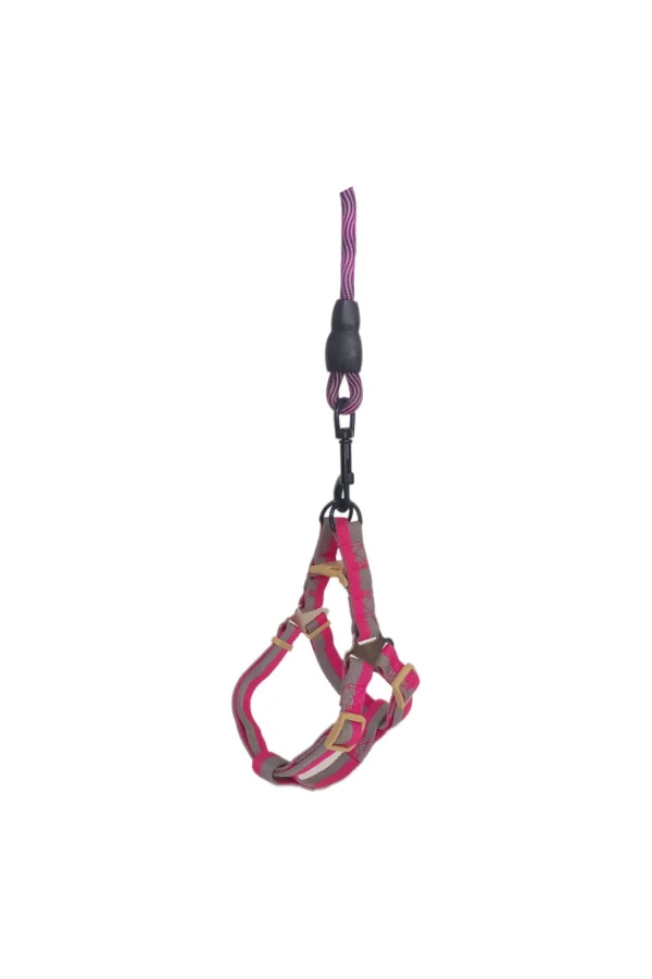 Köpek Göğüs Tasma Seti Dalga Desenli 2 cm*40-58 cm Mor-Pembe