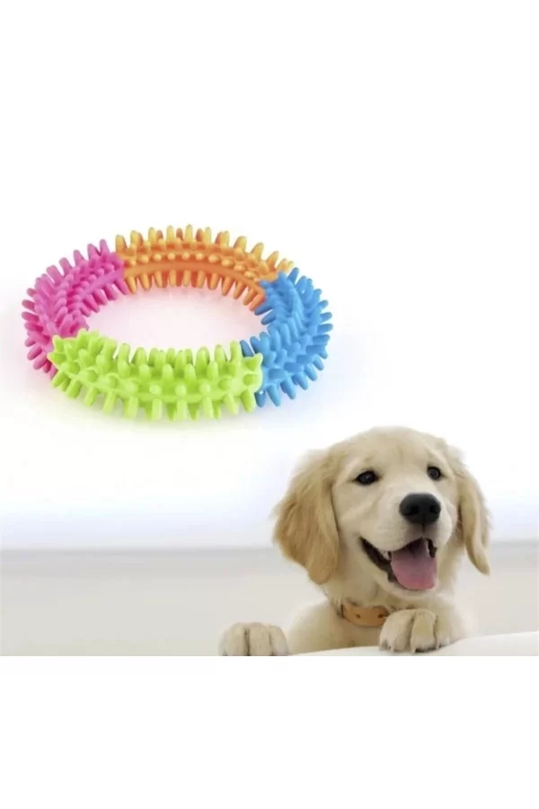 Köpek Isırma Diş Kaşıma Çemberi