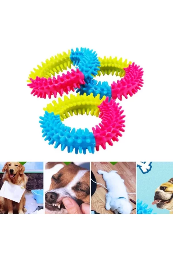 Köpek Isırma Diş Kaşıma Çemberi