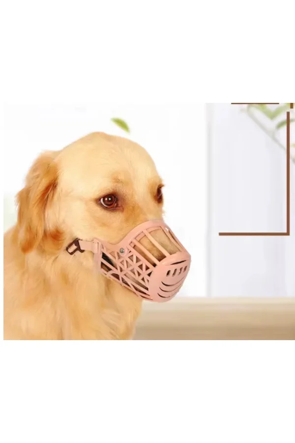 Köpek Koruma Ağızlığı 7li Set