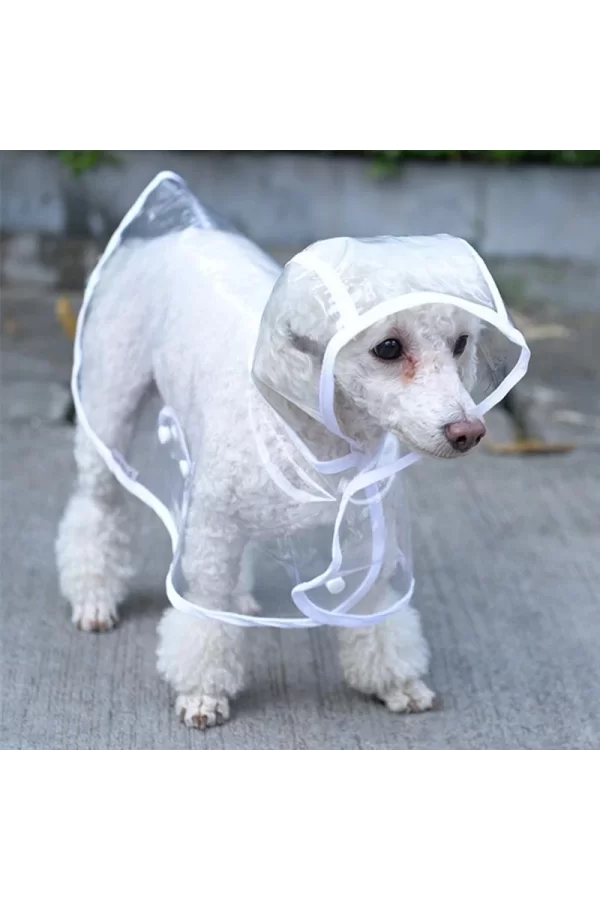 Köpek Yağmurluğu -sarı - (small)