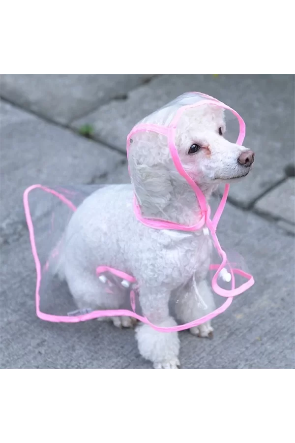 Köpek Yağmurluğu -sarı - (small)