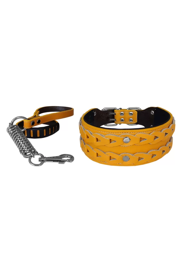 Markapet Elegance Deri İşlemeli Lüks Köpek Tasma Seti XL 7 cm*60-68 cm Sarı
