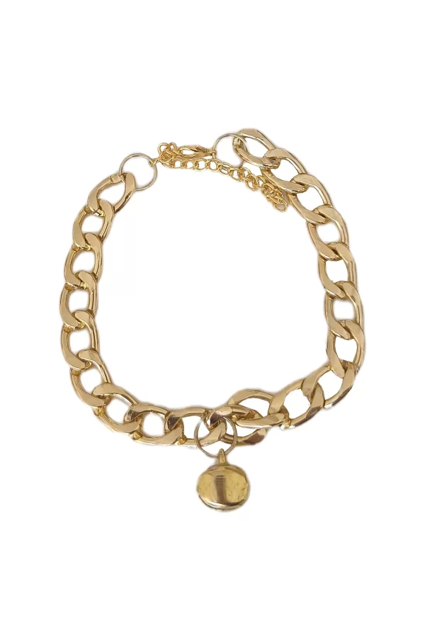 Markapet Kedi Ve Köpek Lüx Zincir Kolye 25-30 cm Medium Gold