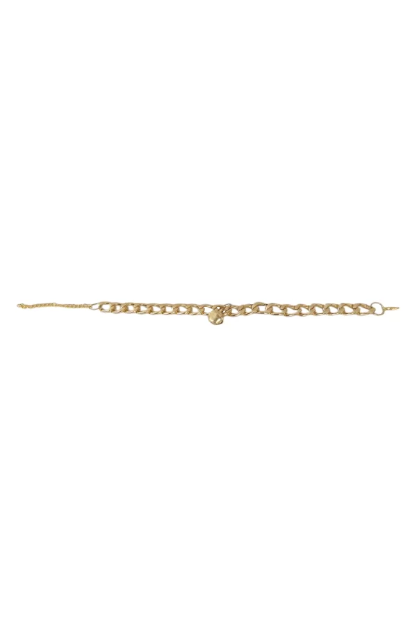 Markapet Kedi Ve Köpek Lüx Zincir Kolye 25-30 cm Medium Gold