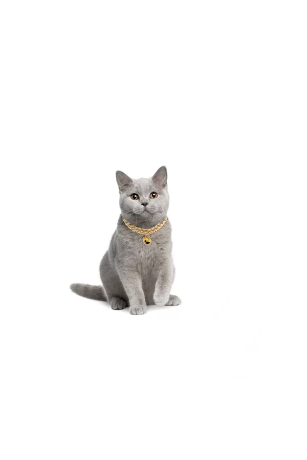 Markapet Kedi Ve Köpek Lüx Zincir Kolye 25-30 cm Medium Gold