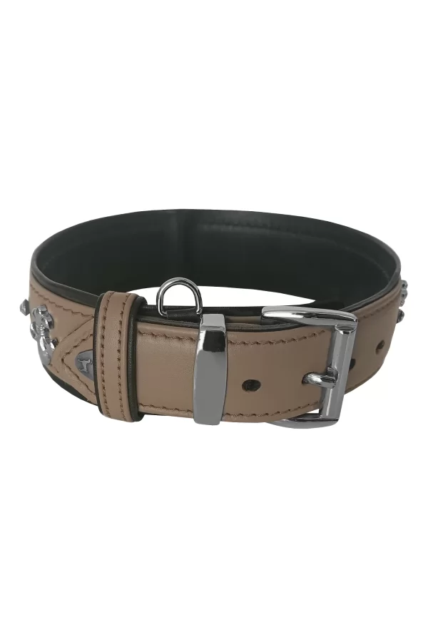 Markapet Taşlı Ve Aynalı Köpek Boyun Tasması 49-55 cm Large Taba