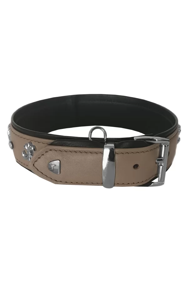 Markapet Taşlı Ve Aynalı Köpek Boyun Tasması 49-55 cm Large Taba
