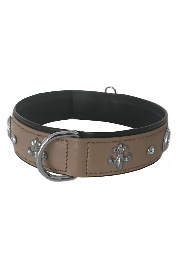 Markapet Taşlı Ve Aynalı Köpek Boyun Tasması 49-55 cm Large Taba