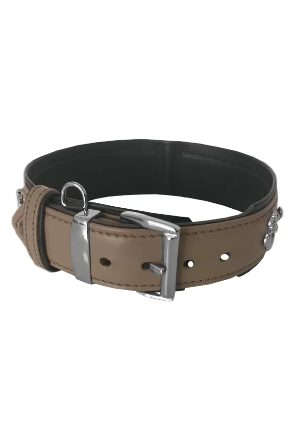 Markapet Taşlı Ve Aynalı Köpek Boyun Tasması 49-55 cm Large Taba