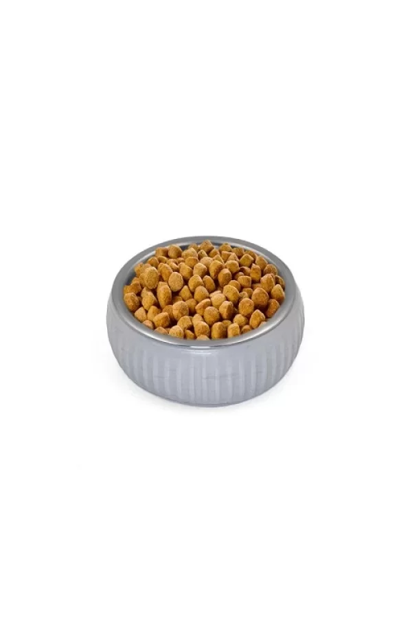 Mikopet Organik Seramik Mama Kabı Gri