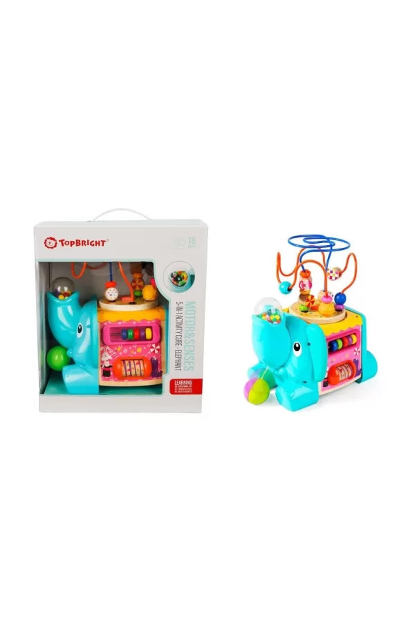 Nessiworld 3906 SUN-Tahta Oyuncaklar Aktivite Küpü 5 İN 1