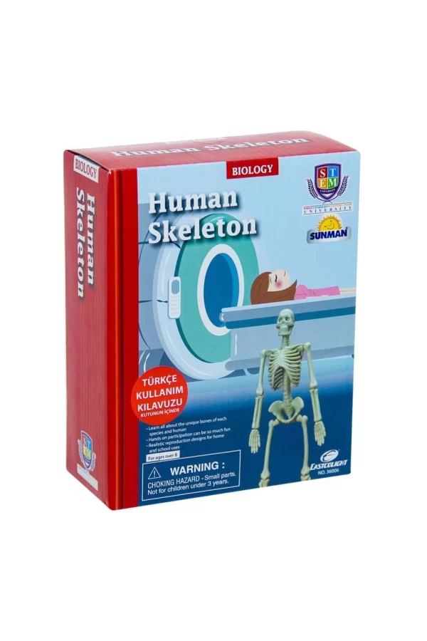 Nessiworld  Bilim Seti : İnsan İskeleti