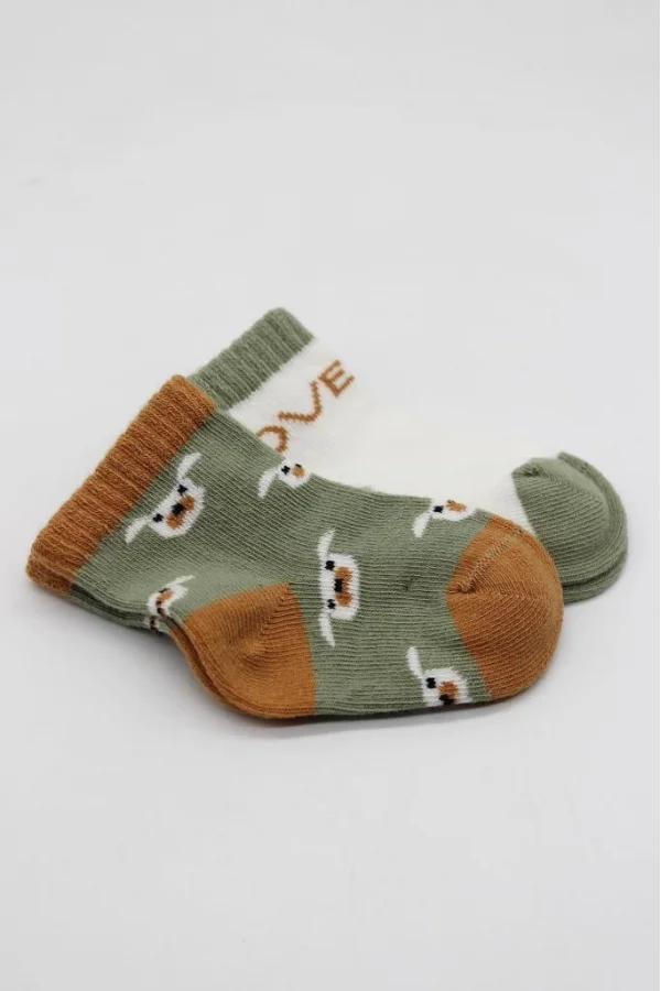 Nessiworld  Bistyle Love Dog Penye Soket Çorap 2Li BS10118 Nil