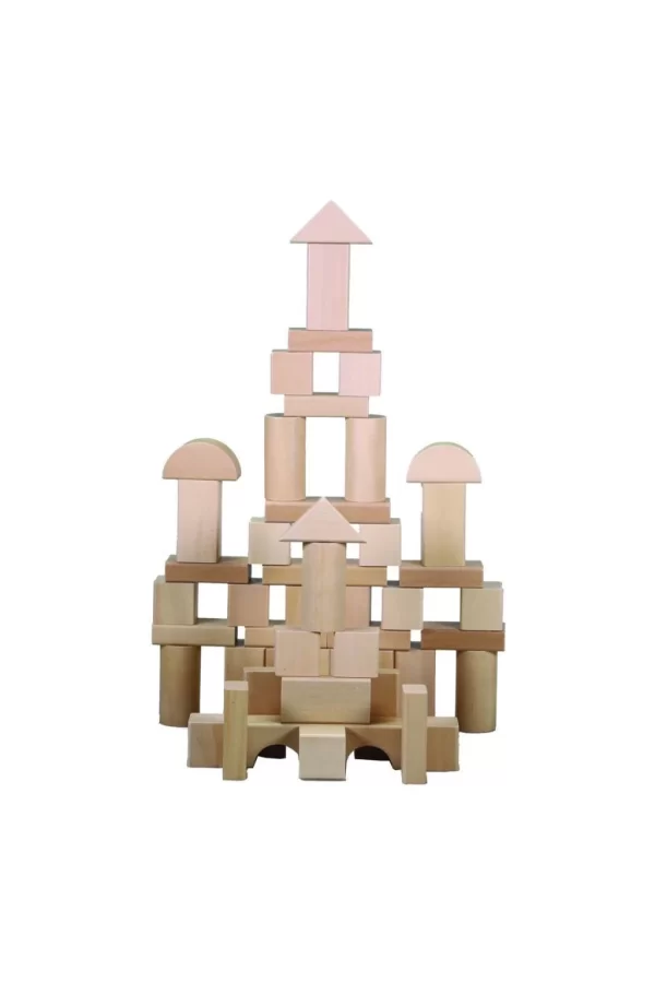 Nessiworld CS-8832 NATURAL AHŞAP BLOK 50 PARÇA