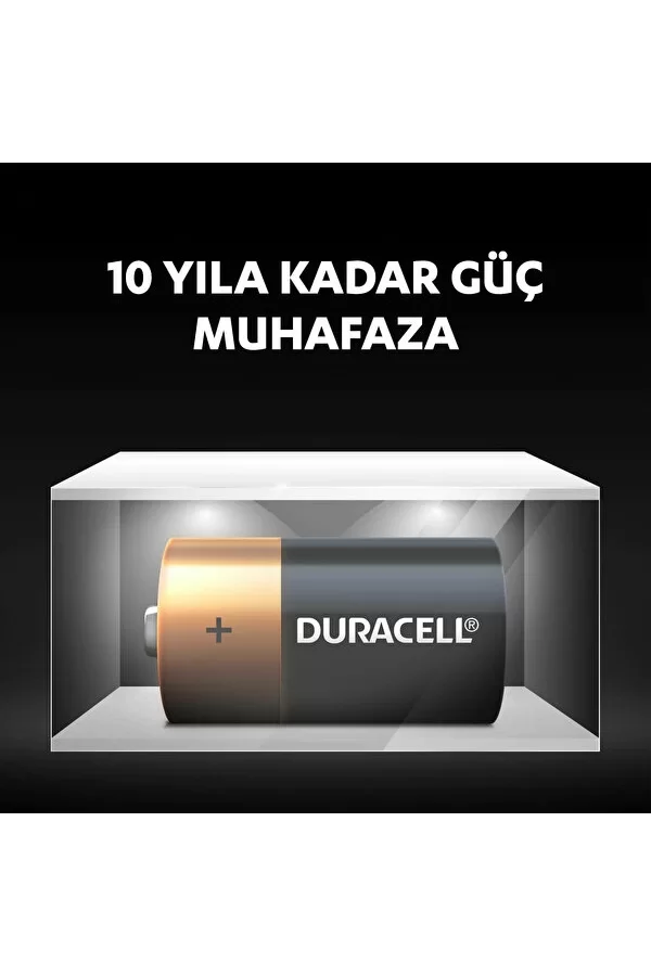 Nessiworld  Duracell Basic C Boy Pil 2Li