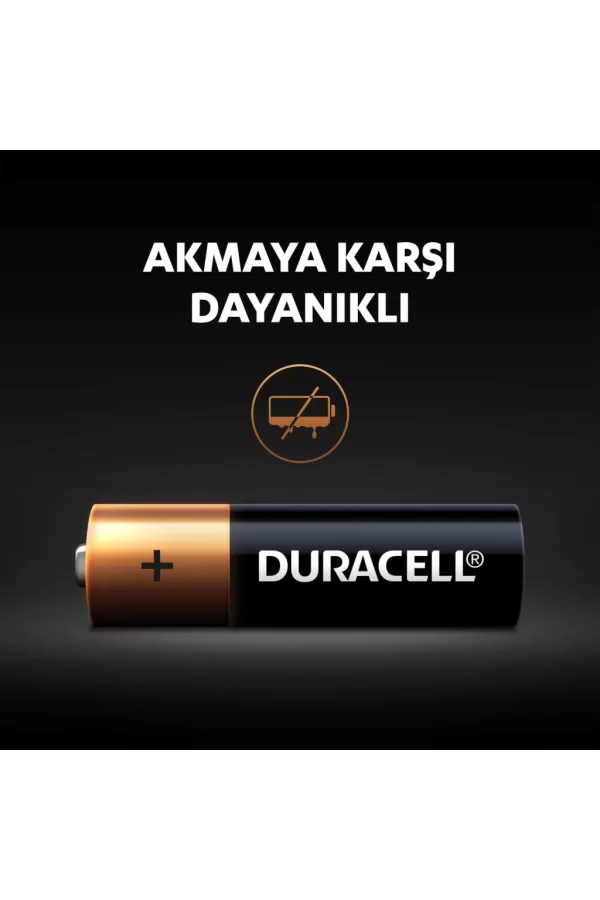 Nessiworld  Duracell Basic D Boy Pil 2Li