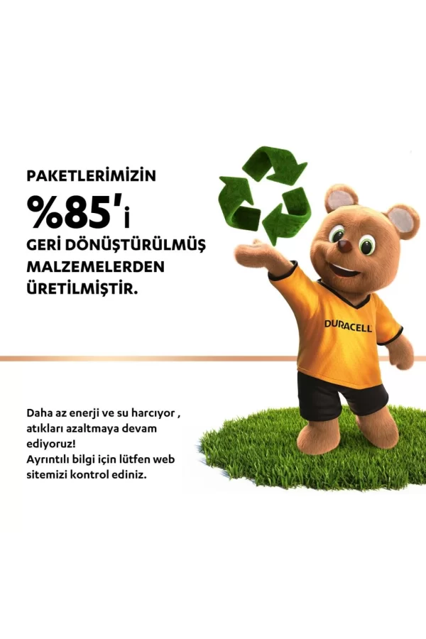 Nessiworld  Duracell Basic D Boy Pil 2Li