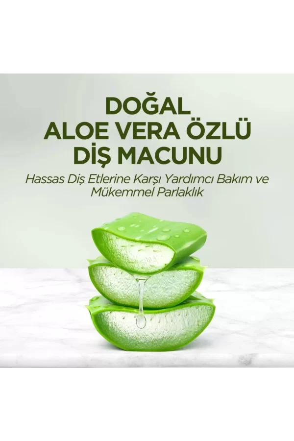 Nessiworld  Eyüp Sabri Tuncer Doğal Diş Macunu 90 Gr Aloe Vera