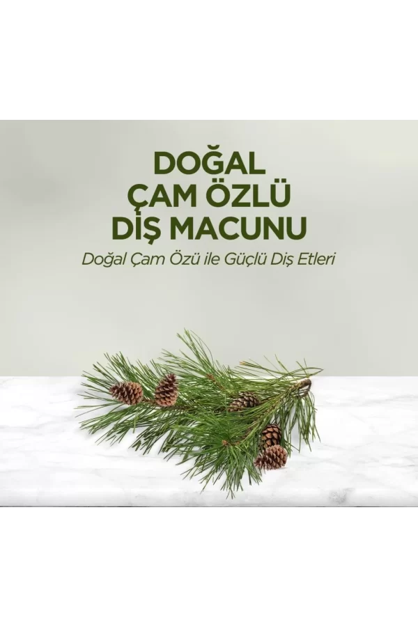 Nessiworld  Eyüp Sabri Tuncer Doğal Diş Macunu 90 Gr Çam Özlü