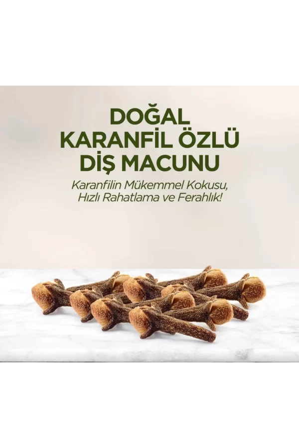 Nessiworld  Eyüp Sabri Tuncer Doğal Diş Macunu 90 Gr Karanfil
