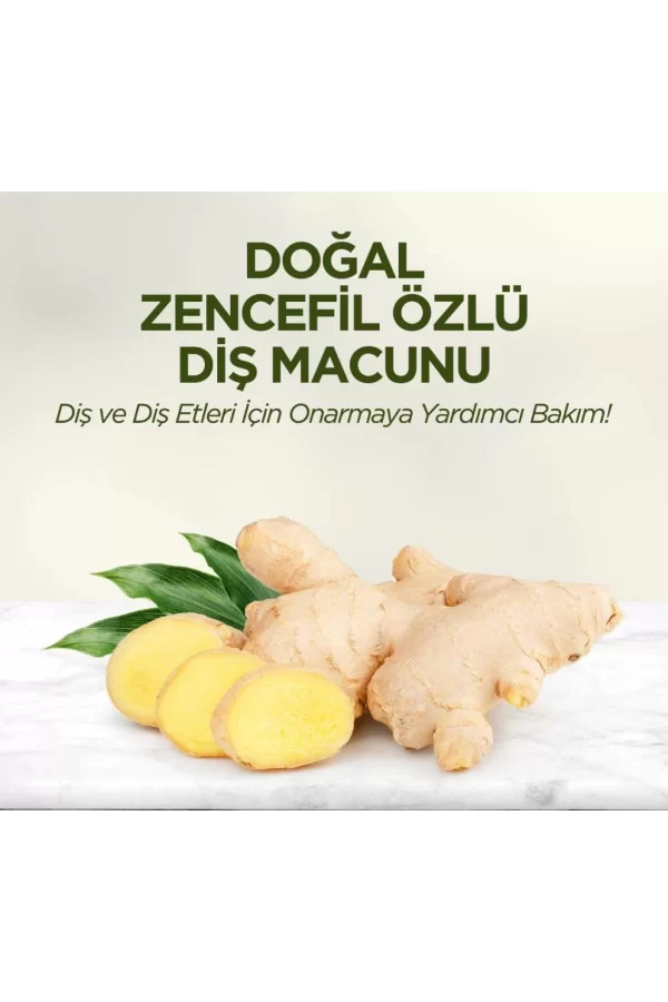 Nessiworld  Eyüp Sabri Tuncer Doğal Diş Macunu 90 Gr Zencefil Özlü