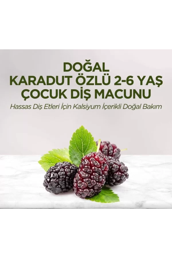 Nessiworld  Eyüp Sabri Tuncer Doğal Karadut Özlü Diş Macunu 2-6 Yaş 60ml