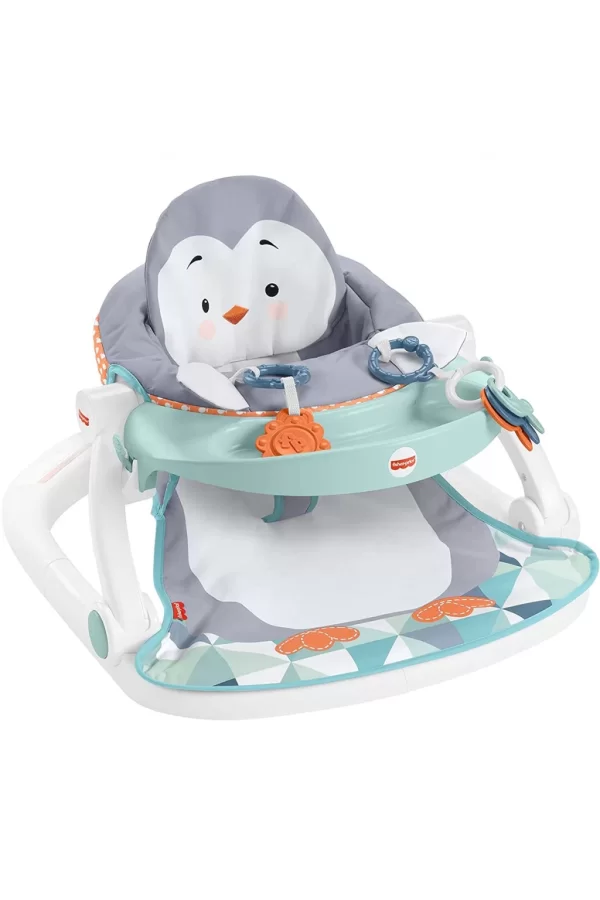 Nessiworld  Fisher Price Tepsili Ana Kucağı HBF27