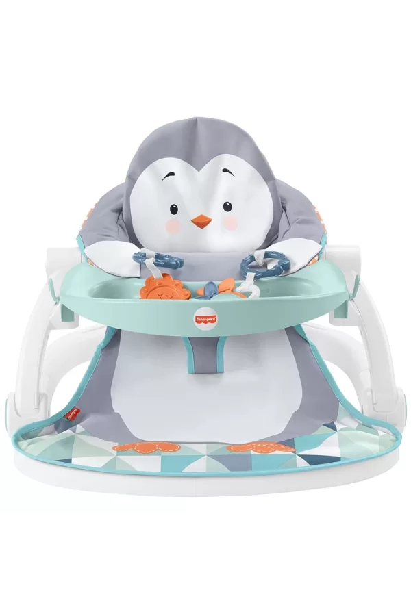 Nessiworld  Fisher Price Tepsili Ana Kucağı HBF27