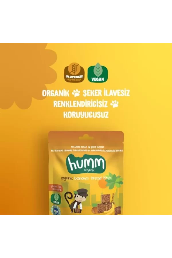 Nessiworld  Humm Organik Glutensiz Vegan Muzlu Kek 30 Gr