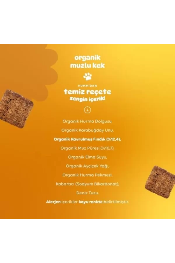 Nessiworld  Humm Organik Glutensiz Vegan Muzlu Kek 30 Gr