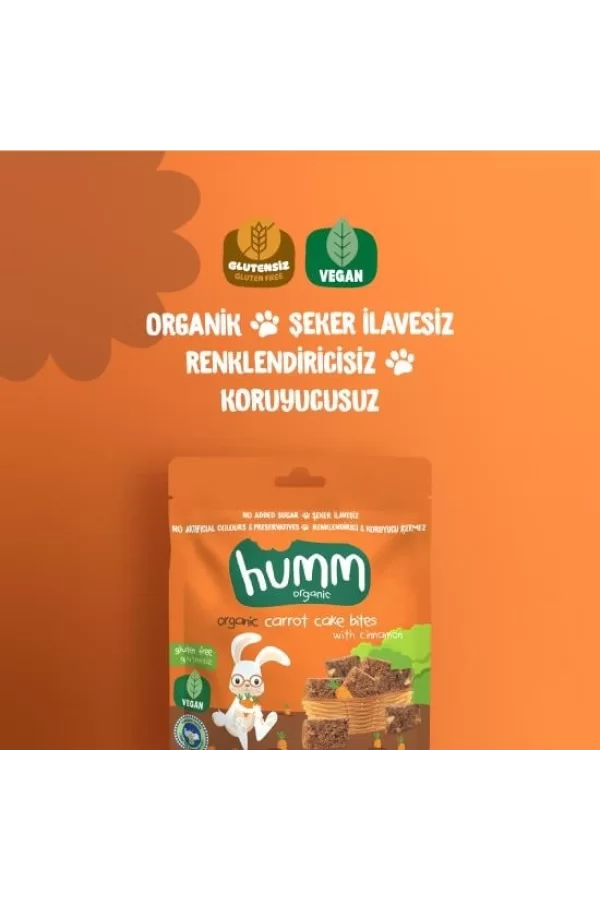 Nessiworld  Humm Organik Havuçlu Tarçınlı Vegan Kek 30 Gr