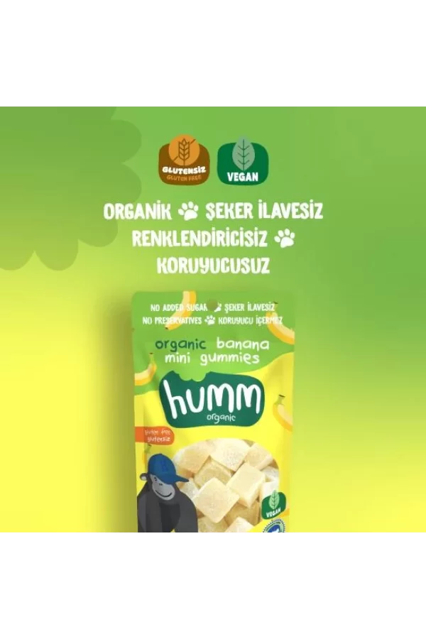 Nessiworld  Humm Organik Muzlu Glutensiz Vegan Mini Küpler 30 Gr