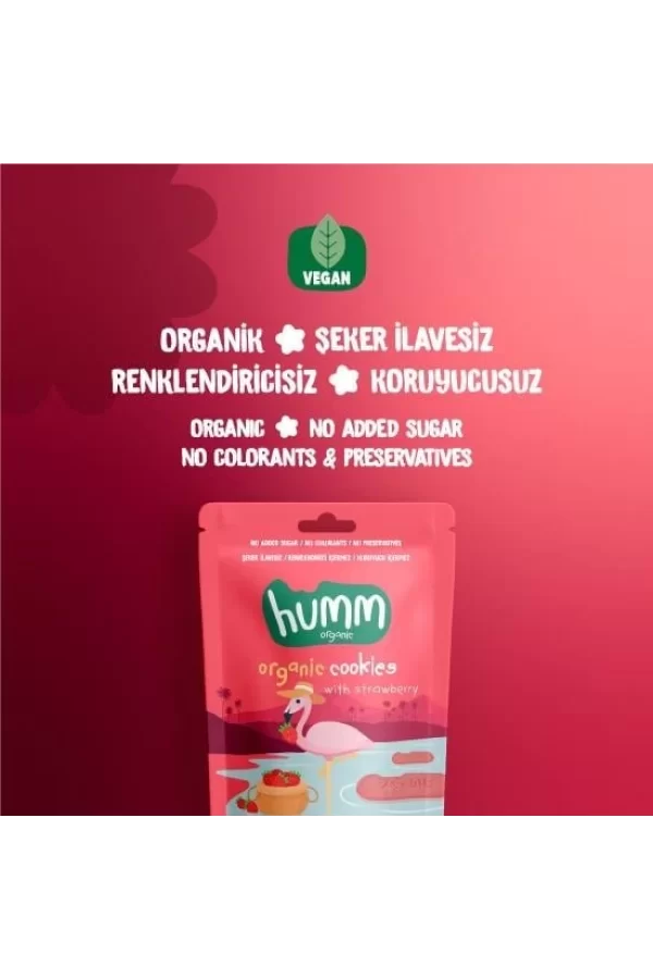Nessiworld  Humm Organik Vegan Çilekli Kurabiye 55 Gr