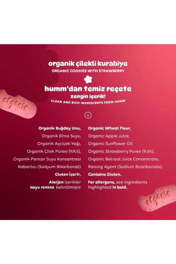 Nessiworld  Humm Organik Vegan Çilekli Kurabiye 55 Gr