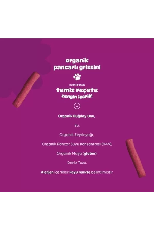 Nessiworld  Humm Organik Vegan Pancarlı Grissini 55 Gr