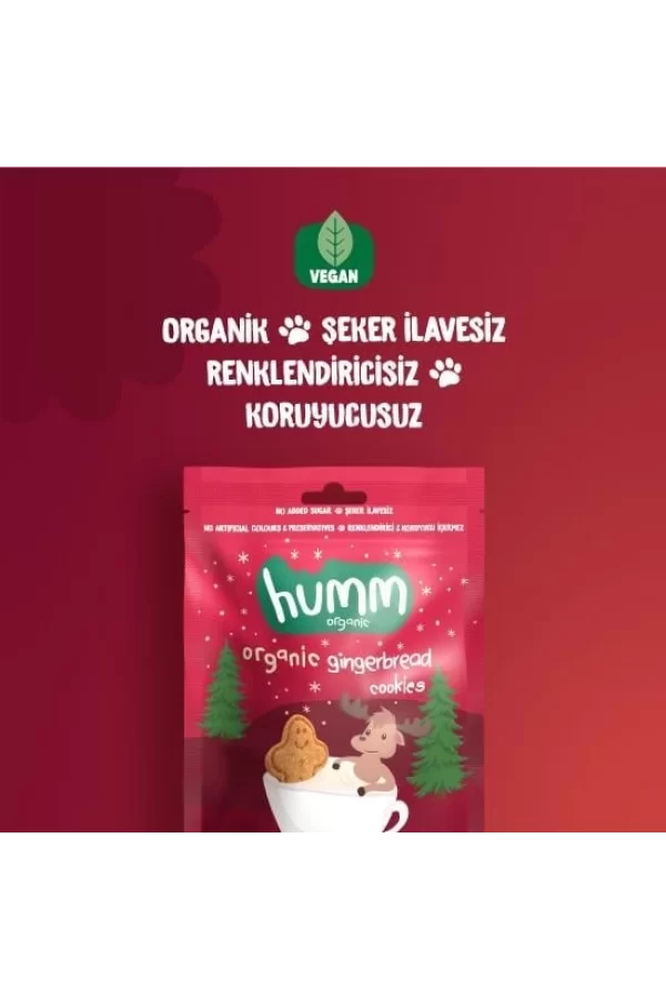 Nessiworld  Humm Organik Zencefilli ve Tarçınlı Vegan Kurabiye 55 Gr