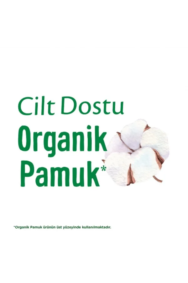 Nessiworld  Molped Pure&Soft Normal Ped Süper Eko 24 Adet