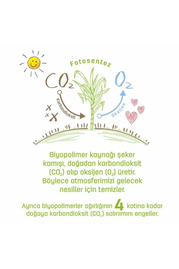 Nessiworld  Sleepy Bio Natural Islak Havlu Mendil 3x40 120 Yaprak