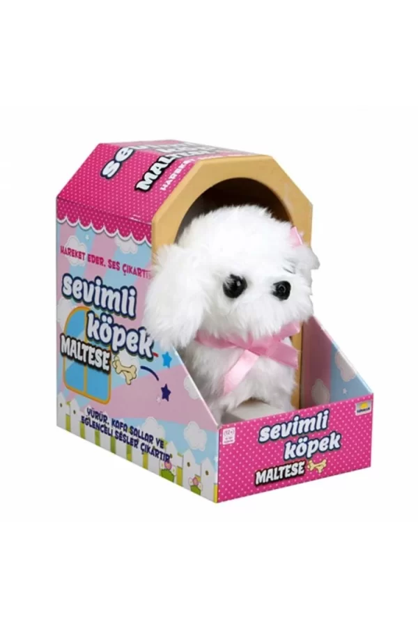 Nessiworld  Sunman Sevimli Köpek Maltese
