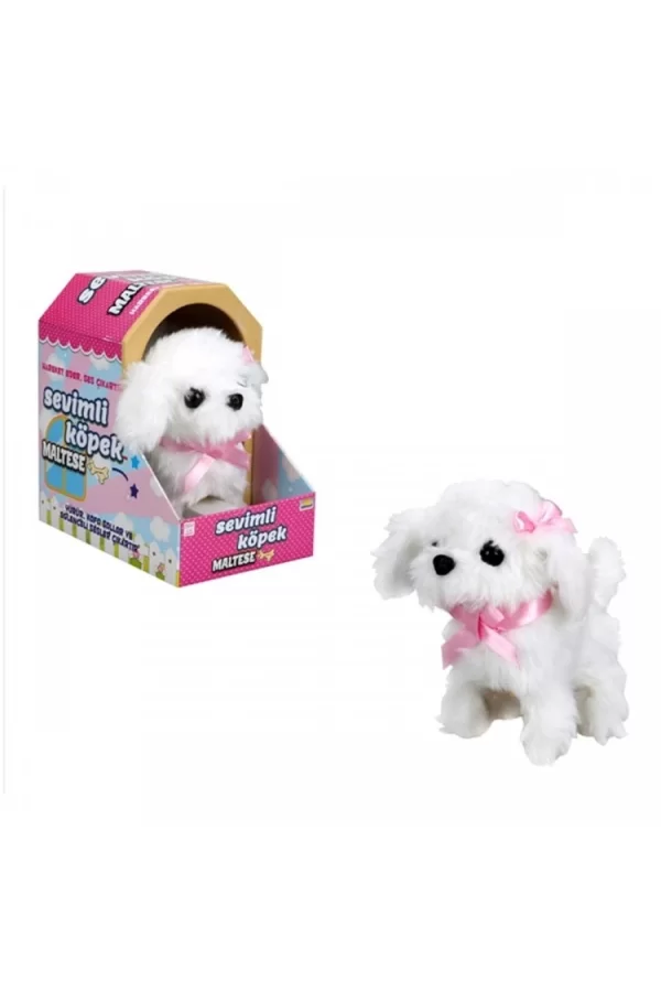 Nessiworld  Sunman Sevimli Köpek Maltese