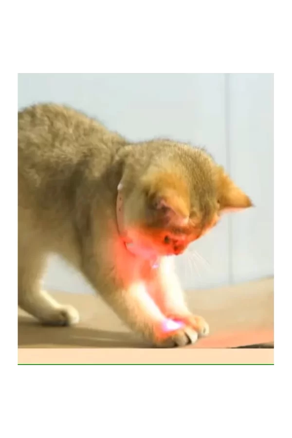 Otomatik Lazer Oyun Tasması