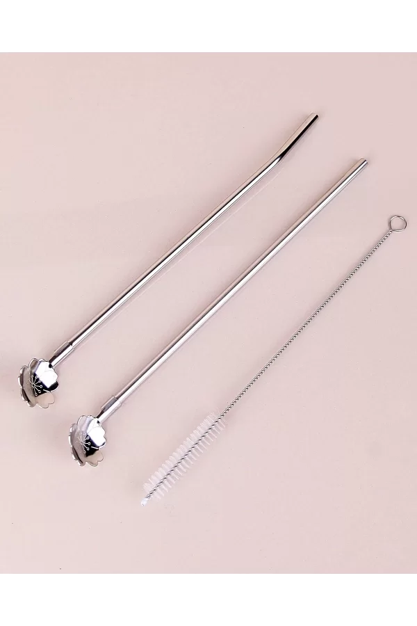 Paslanmaz Metal 2 Li Kaşıklı Pipet Fırça Seti