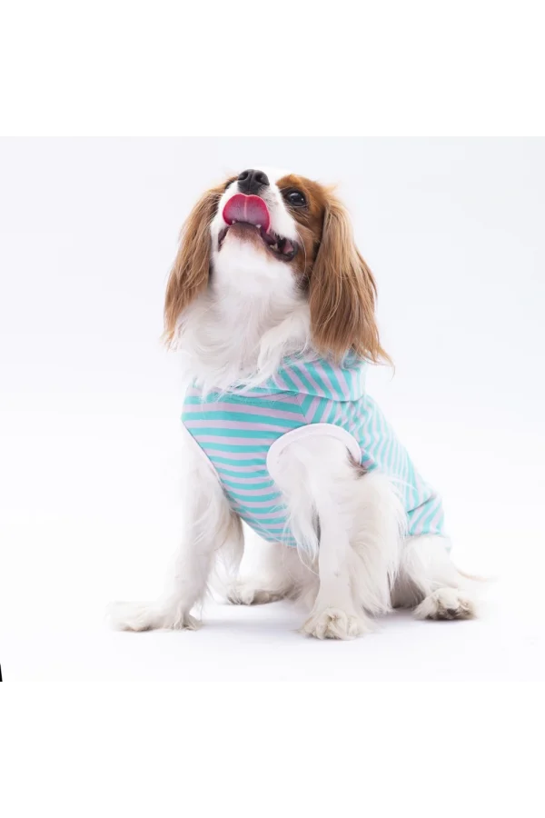 Pawstar Aqua Sunny Kapşonlu Tişört Medium 26x28x41 cm