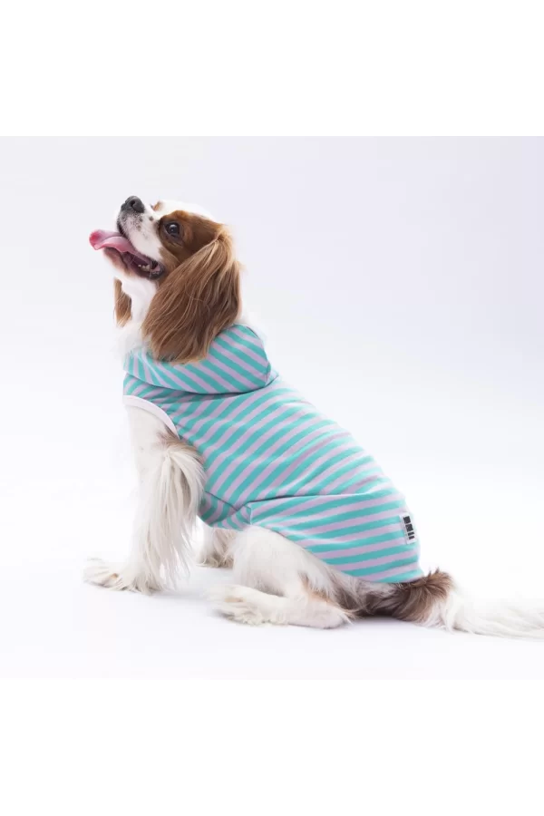Pawstar Aqua Sunny Kapşonlu Tişört Small 23x24x37 cm
