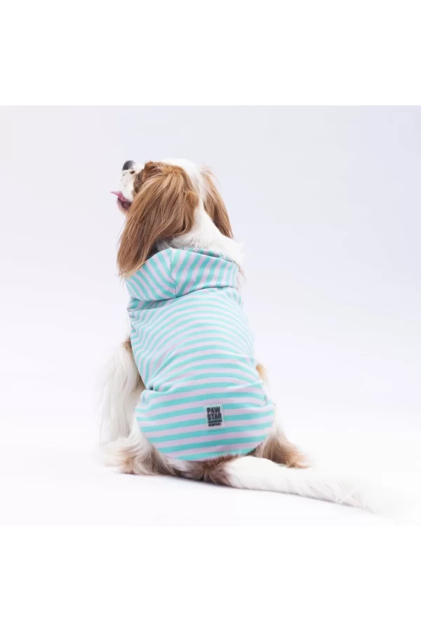 Pawstar Aqua Sunny Kapşonlu Tişört XXLarge 38X43X58 cm
