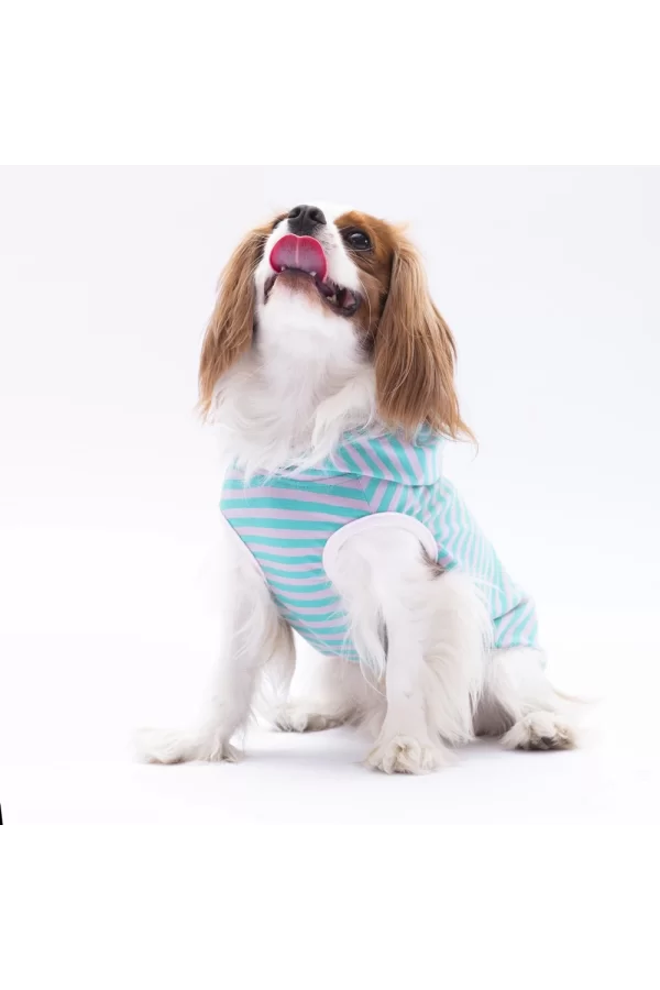 Pawstar Aqua Sunny Kapşonlu Tişört XXLarge 38X43X58 cm