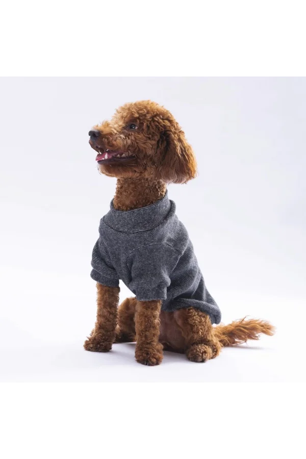 Pawstar Black Merino Sweat Medium 26x28x41 cm