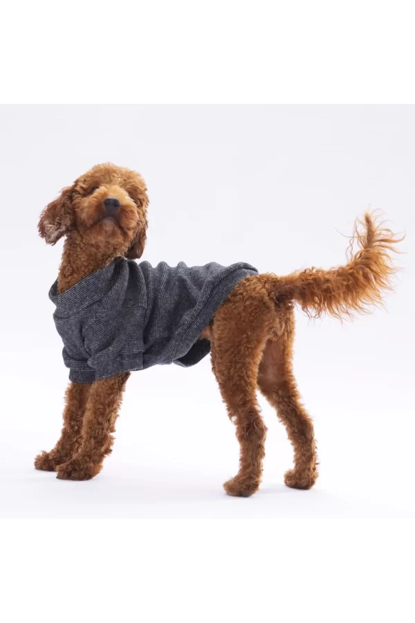 Pawstar BlackMerino Sweat X Large 34X38X55 cm